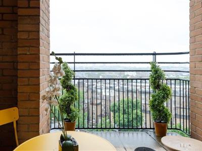 Picture 11